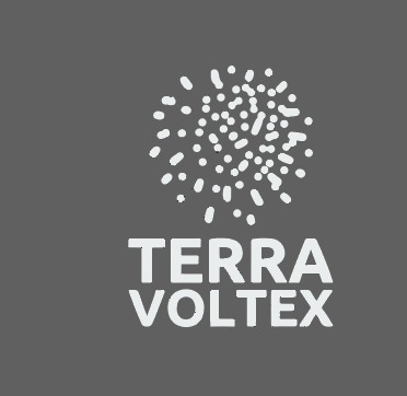 TerraVoltex Logo
